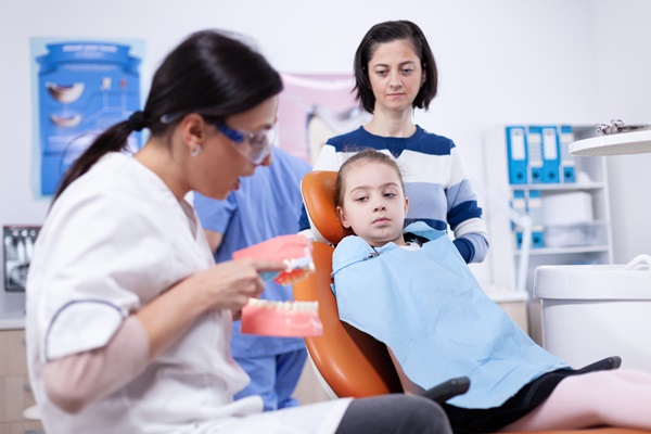 Ortodontist brushing artificial jaw